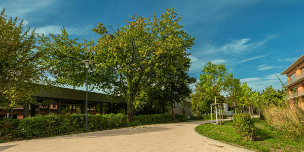 Foto-1768(1)